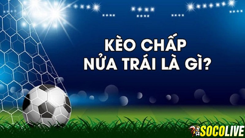 Kèo 1/2 hay kèo 0.5 – tỷ lệ kèo chấp nửa trái Kèo 1/2 hay kèo 0.5 – tỷ lệ kèo chấp nửa trái