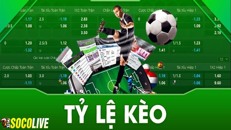 Tỷ lệ kèo chính là những con số thể hiện sự chênh lệch giữa các đội Tỷ lệ kèo chính là những con số thể hiện sự chênh lệch giữa các đội