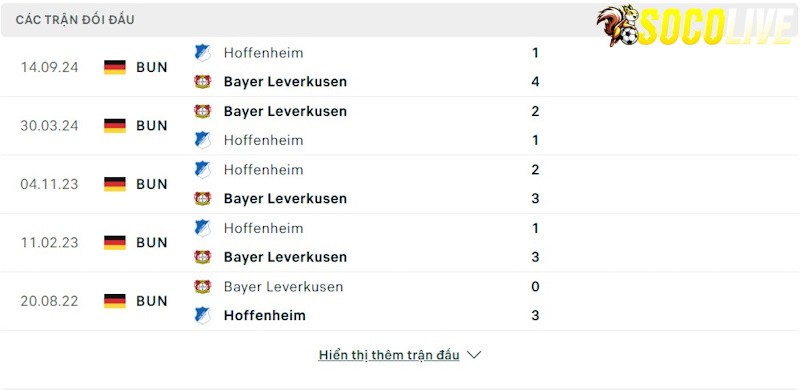 Thành tích đối đầu Leverkusen vs Hoffenheim Thành tích đối đầu Leverkusen vs Hoffenheim