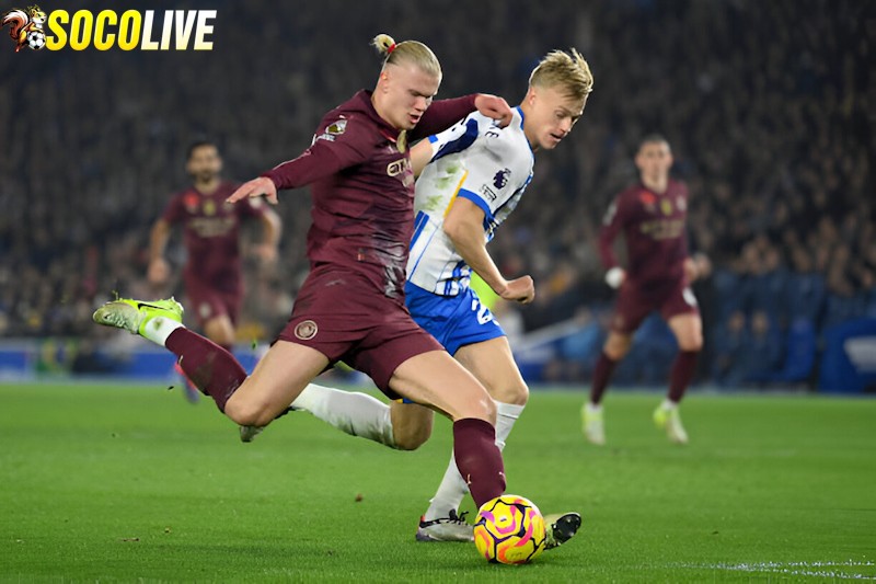 Manchester City sẽ đối đầu với Brighton trên sân nhà tại vòng 29 Ngoại Hạng Anh Manchester City sẽ đối đầu với Brighton trên sân nhà tại vòng 29 Ngoại Hạng Anh