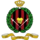 Logo DPMM FC